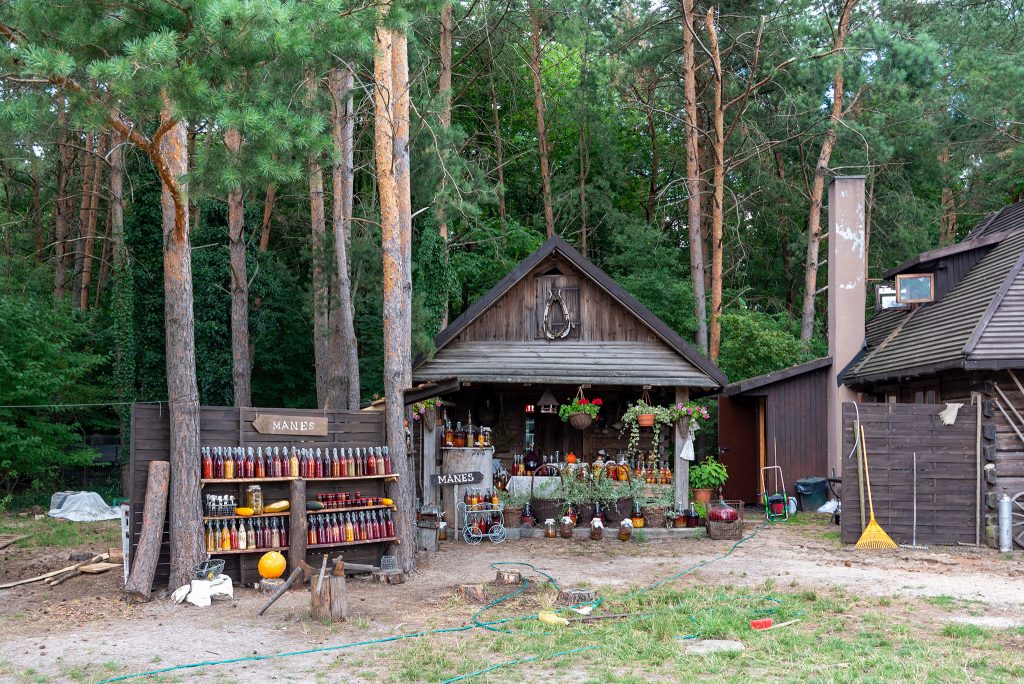 Janowiec - Manes i jego leśna apteka