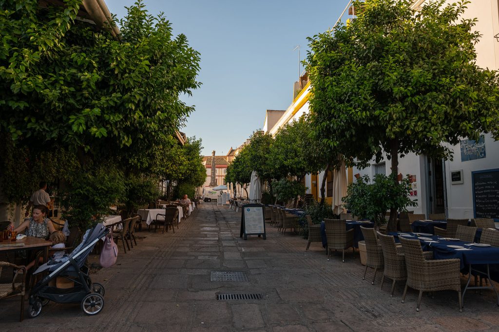 Kordoba - w drodze do restauracji Moriles Ribera